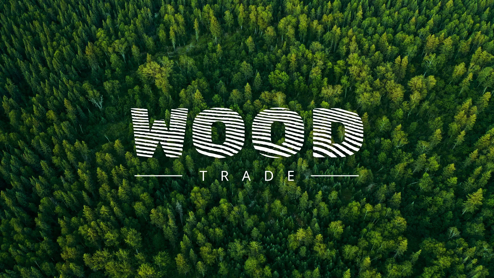 Разработка интернет-магазина компании «Wood Trade» в Ломоносове